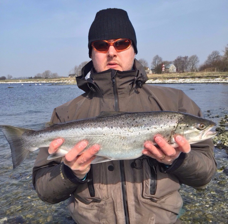 Vinnare 2015