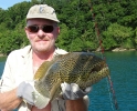 Coral Trout