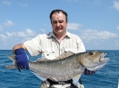 Robban med Green Job Fish
