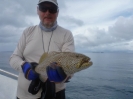 Coral Trout.