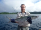 King Mackerel