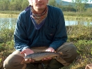 Fjällöring