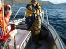 39 kg Hälleflundra