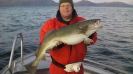 Anders med en torsk från Havöysund