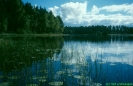 Enesjön