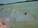 2004-02