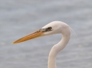 Fiskare