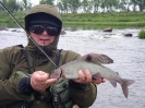 Tavva
