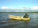 Härkejaure