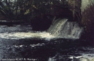 Öradekaren